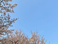 -龙美术馆(西岸馆)