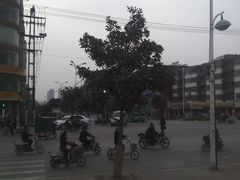 -铁道游击队纪念馆