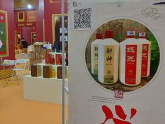 -南宁国际会展中心(会展东博文化旅游区)