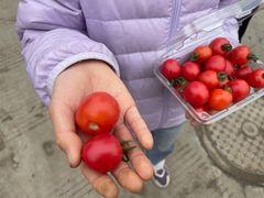 -桃园农庄·桃源宴