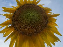 -长春公园(普阳街道)