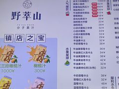 -野萃山·潮汕厚果汁(十亩地店)