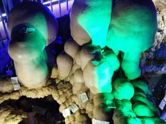 -泰安地下龙宫景区