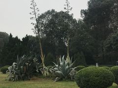 -西南交通大学(九里校区)