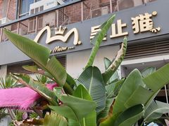 -more than meow吴止猫主题餐厅(承德 中船汇店)