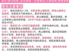 -观音桥步行街