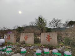-香雪海