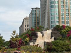 -内蒙古驻京办餐厅