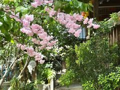 -铁炉农家菜馆