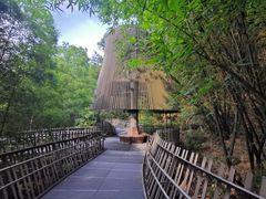 -梅峰山地公园