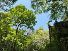 -岳麓山风景名胜区