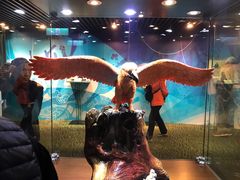 -绮丽珊瑚(台北101旗舰门市店)