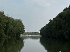 -白洋淀景区