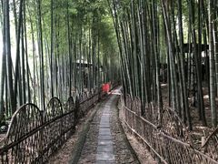 -宝岩生态观光园