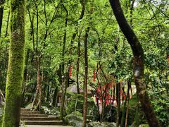 -刘伯温故里景区百丈漈