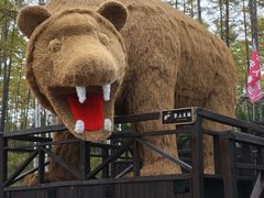 -莫尔道嘎国家森林公园