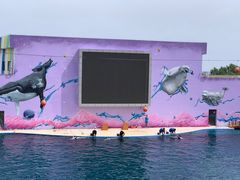 -北戴河圣蓝海洋公园