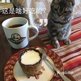 让黑巧和曲奇杯融为一体后取出。9-大功告成，倒入牛奶