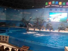 -泉城欧乐堡海洋极地世界