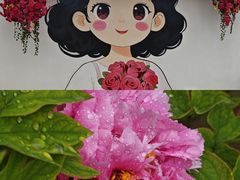 -丰台花园