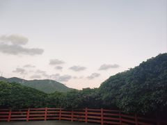 -阳台山森林公园