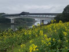 -福建鲤鱼洲酒店
