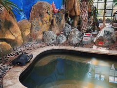 -悦隆庄温泉度假酒店