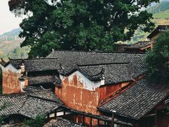 -杨家堂村