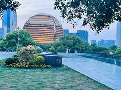 -城市阳台