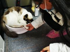 -零纪元VR体验馆·桌游(黄浦店)