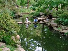 -上海共青森林公园