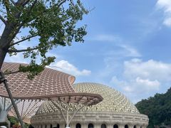 -牛首山文化旅游区