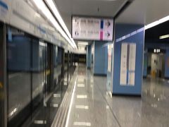 -大龙山(地铁站)