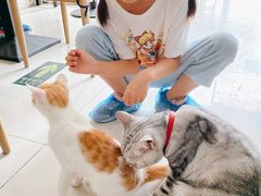 -平行世界·猫咖(首经贸店)