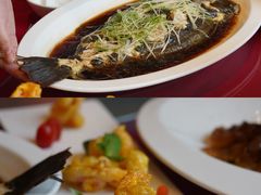 -青岛富力艾美酒店