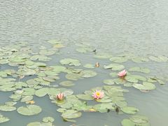 -长兴太湖图影湿地文化园