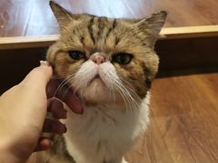 -参差咖啡(水果湖公园店)