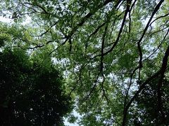 -广州市白云山风景名胜区