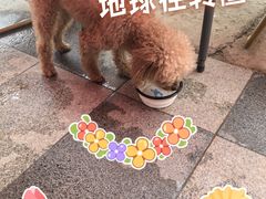 -小意思咖啡店(草桥店)