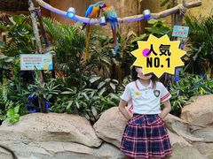 -杭州开元森泊度假乐园