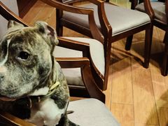 -大蓉和(双楠店)