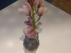 -双风车咖啡馆 Twin Windmills(六道口店)