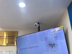 -全心全意连锁动物医院·微创中心·内科急重症·心脏专科(丰管路店)