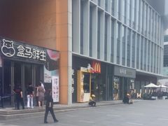 -麦当劳(望京国际商业中心店)