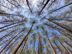 -硗碛藏寨·神木垒景区