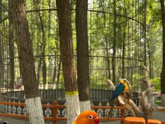 -北京野生动物园