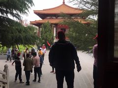 -神州牡丹园