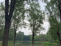 -东郊湿地公园