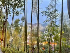 -宜春明月山维景国际温泉度假酒店