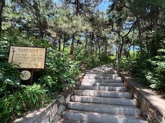 -北京西山国家森林公园